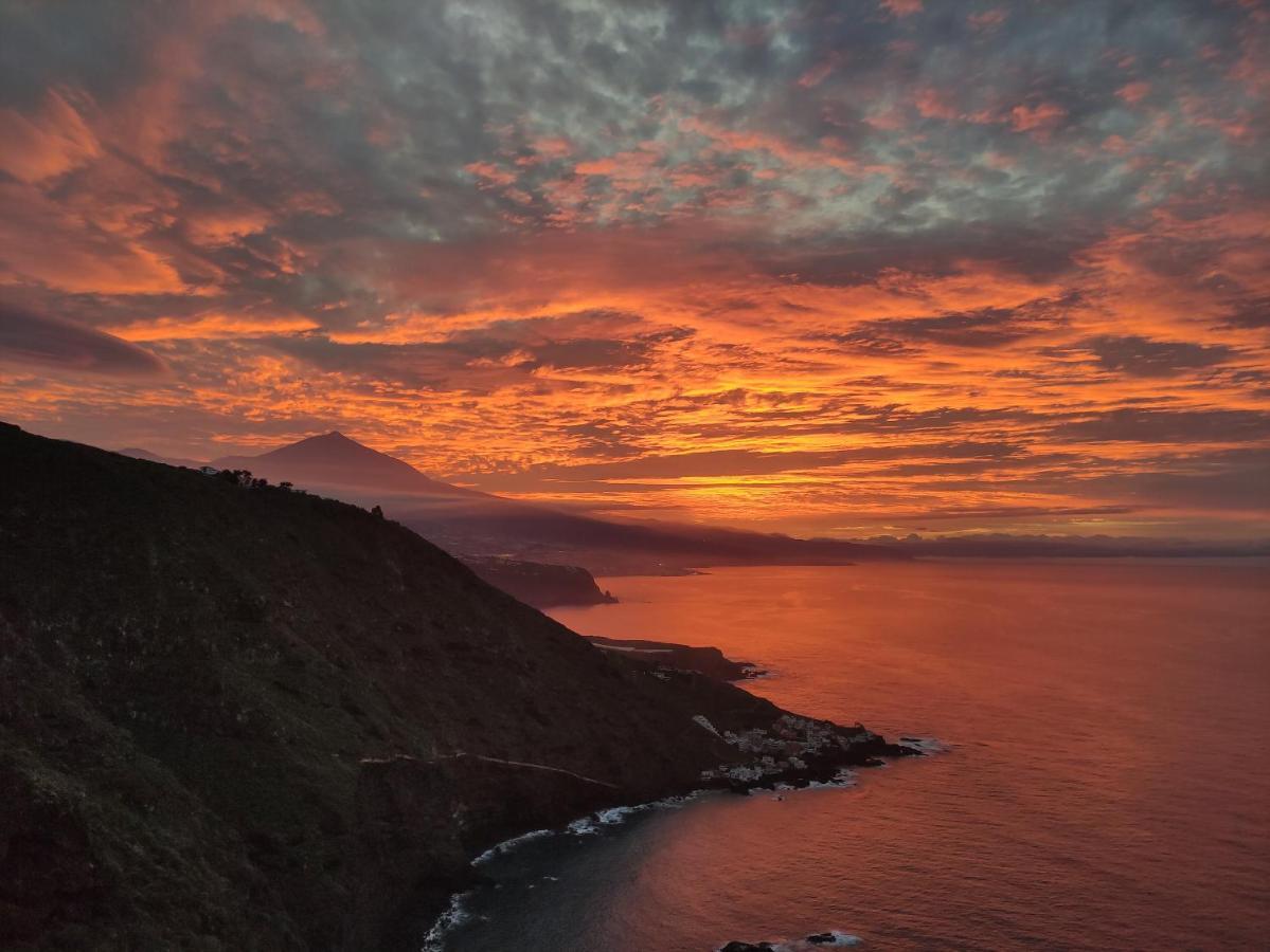 Best View Tenerife Vivienda Vacacional La Matanza De Acentejo المظهر الخارجي الصورة